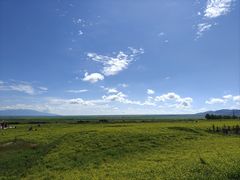 -扁都口生态休闲旅游区