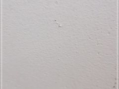 -津门红姐熟梨糕茶汤糕干(爱国道店)