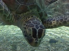 罗源湾海洋世界-福州罗源湾海洋世界旅游区