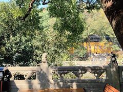 -西湖外事游船(花港观鱼码头)