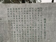 -桂湖森林公园