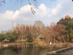 -水绘园