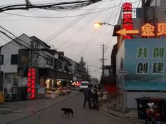 -芦潮港集贸市场