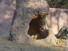 -宁波野生动物园