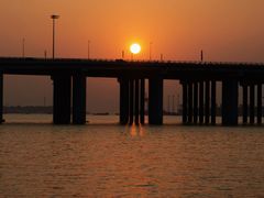 -宝安西湾红树林湿地公园