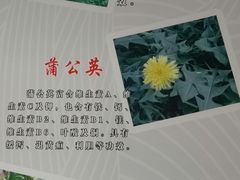 -黔府豆米火锅野菜馆(南马店)