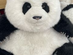 -熊猫邮局(少城店)