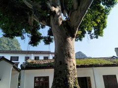 -徐悲鸿故居