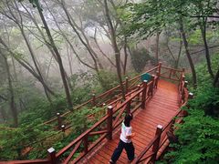 -大岭沟猕猴桃谷风景区