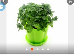 -城市海洋国标恒温游泳馆(株洲体育中心店)