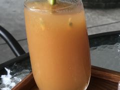 芒果奇亚籽-柴犬高等学院·狗咖·柴犬售卖·宠物训练