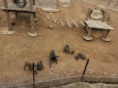 -大连森林动物园