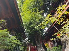 -叩齿古寺