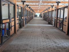 -北京群众马术培训基地