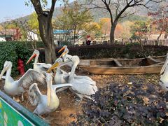 -无锡动物园·太湖欢乐园