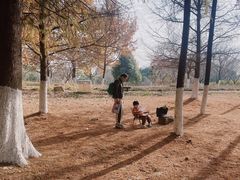 -白塘生态植物园