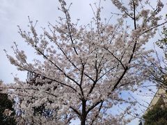-南京邮电大学(仙林校区)