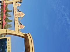 -金塔沙漠胡杨林景区