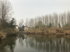 -桤木河湿地公园