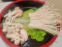 -小茉庐和牛自助火锅(龙湖万达店)
