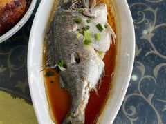 -七鲜渔港美食餐厅(巽寮湾海景店)