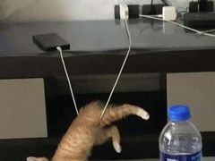 -鸡尾酒实验室酒吧(隆礼路店)