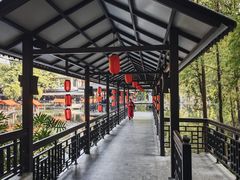 -侨美·唐荔园·40年地道粤菜