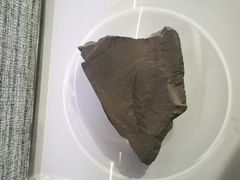 -抚顺煤矿博物馆