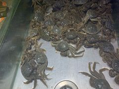 -欢乐牧场海鲜烤肉自助(牡丹园店)