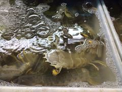 iphone_upload_pic-班赞海鲜市场