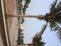 iphone_upload_pic-白沙门生态公园