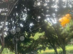 -奥帕拉拉水公园