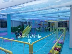 -鲸灵公元游泳中心
