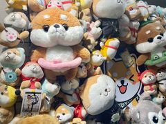 -逗柴咖啡屋·狗咖猫咖宠物桌游