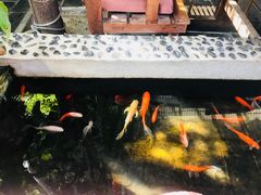 -丽江庭院之爱在路上(西单店)