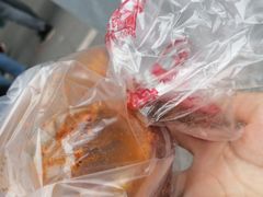 -邓氏兔头