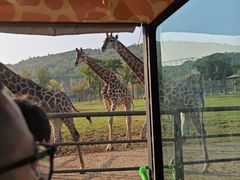 -南京金牛湖风景区