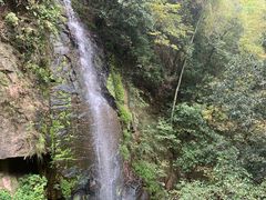 -肖记公安牛肉鱼杂馆· 省级非物质文化遗产(仁和路店)