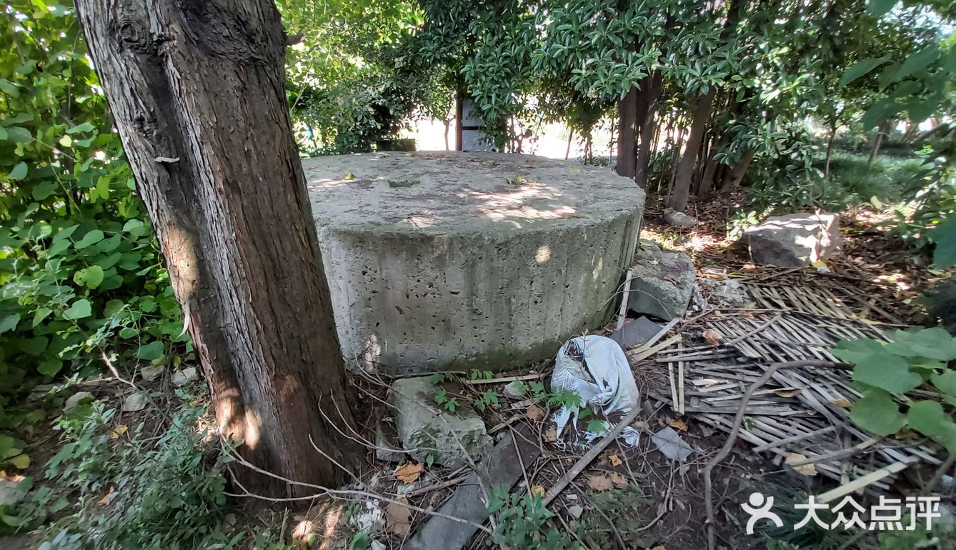 碉堡定为文物，闵行又添一例