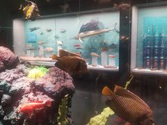 -天津自然博物馆