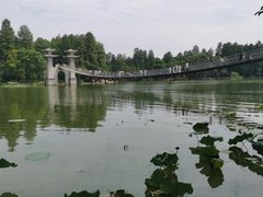 -东湖落雁景区