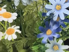 -LAVAZZA拉瓦萨咖啡(星通大厦店)