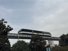 -阳光天地