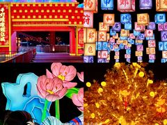 -武汉园博园(武汉自然博物馆)