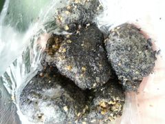 android_upload_pic-叶氏麻糍(鼓浪屿店)