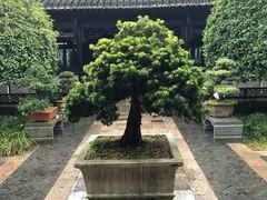 -绮园景区