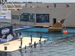 -秦皇岛乐岛海洋王国