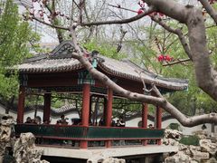-宣武艺园