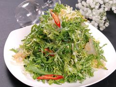 苦菊蛰头-凤百年大骨鸡饭庄