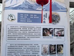 -青藏高原野生动物园